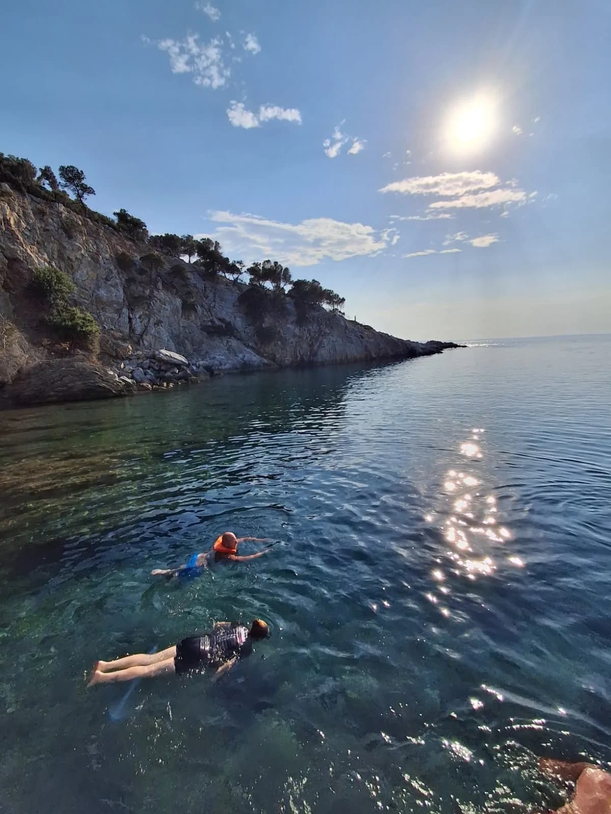 A wide view of the cove with swimmers and the pine-covered cliff above